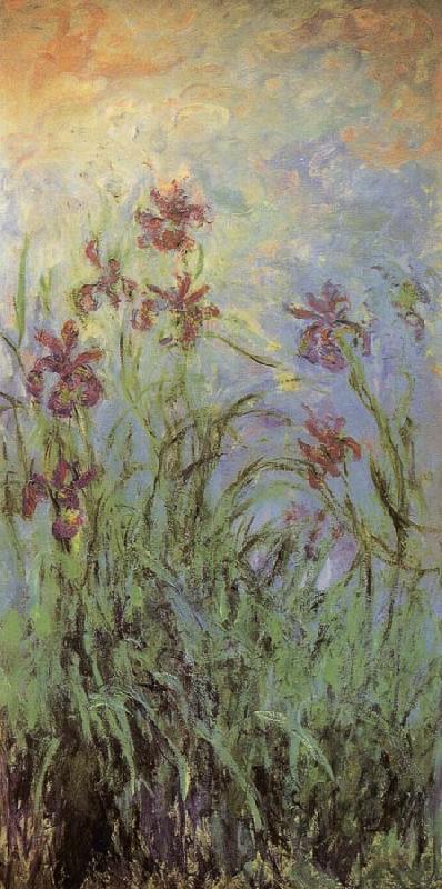 Claude Monet Lilac Irises oil painting picture